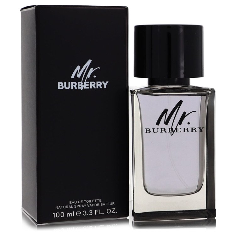 Perfume Masculino Mr Burberry 100 ML Eau De Toilette