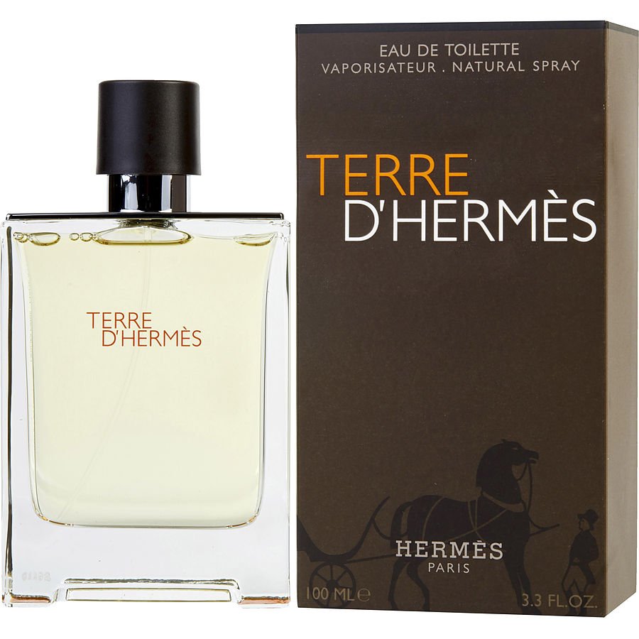 Perfume Masculino Terre D'Hermes Hermes Eau De Toilette Spray 100 Ml