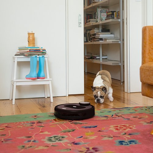 bObsweep - Robô aspirador e esfregão conectado por Wi-Fi PetHair Appetite - Coffee-APP220022