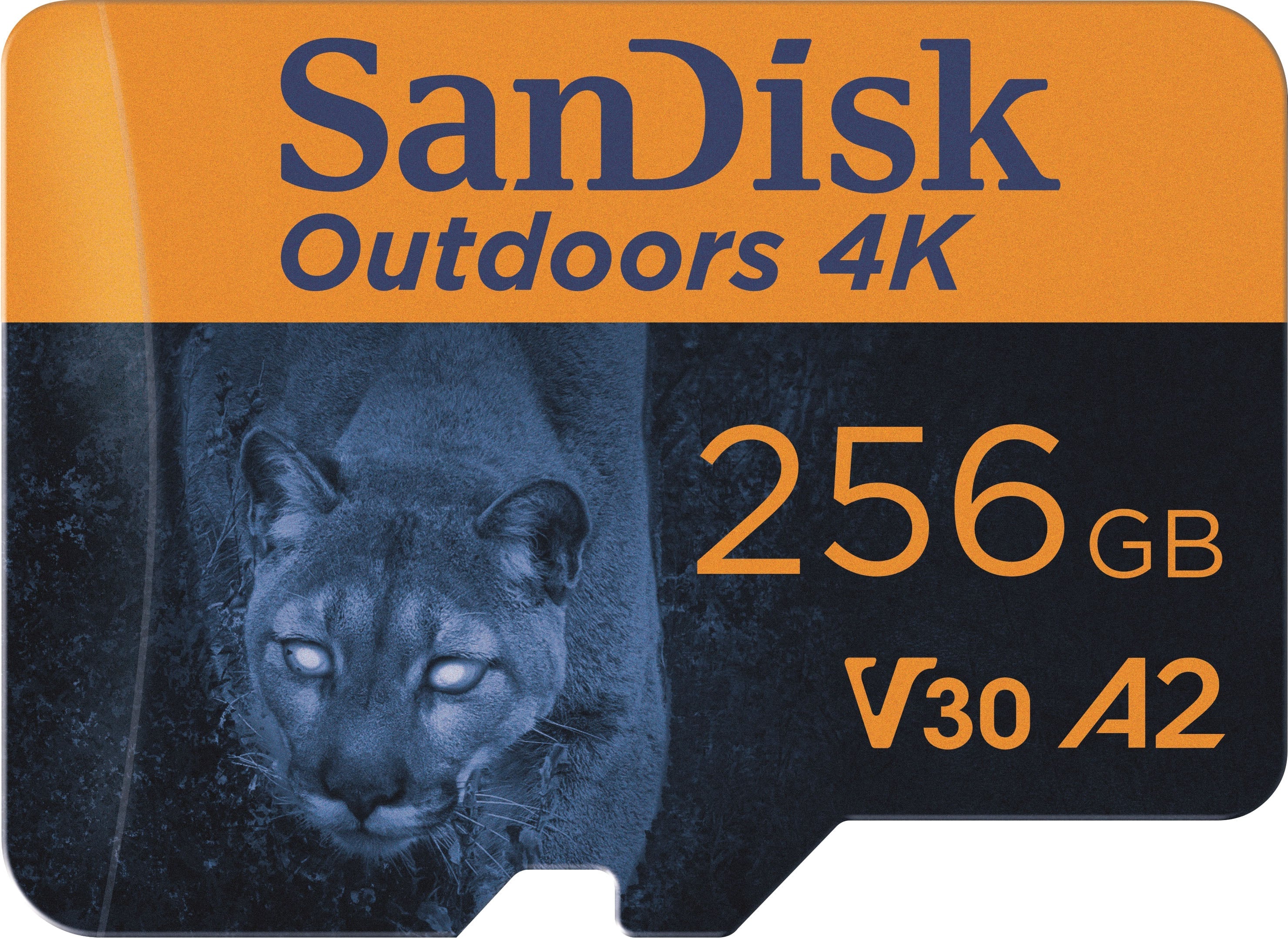 SanDisk - Cartão de memória microSDXC UHS-I 4K 256 GB para ambientes externos com adaptador SD-SDSQXAV-256G-GN6VA