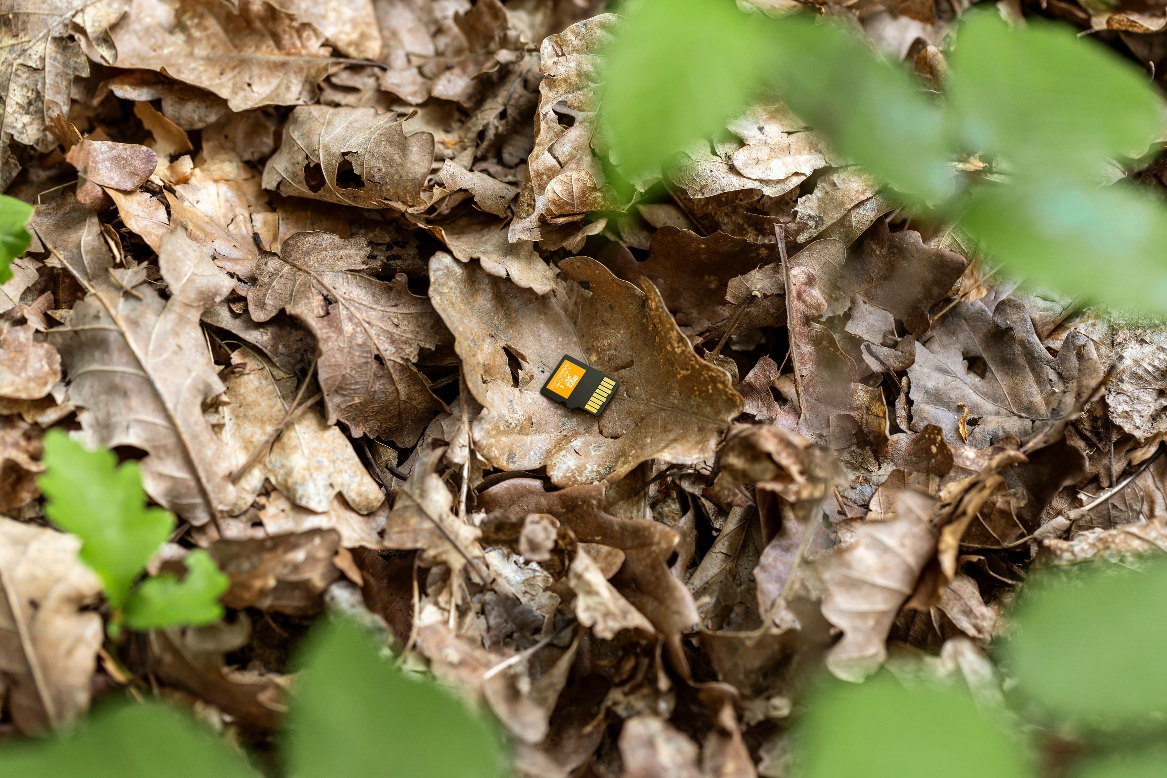 SanDisk - Cartão de memória microSDXC UHS-I 4K 256 GB para ambientes externos com adaptador SD-SDSQXAV-256G-GN6VA