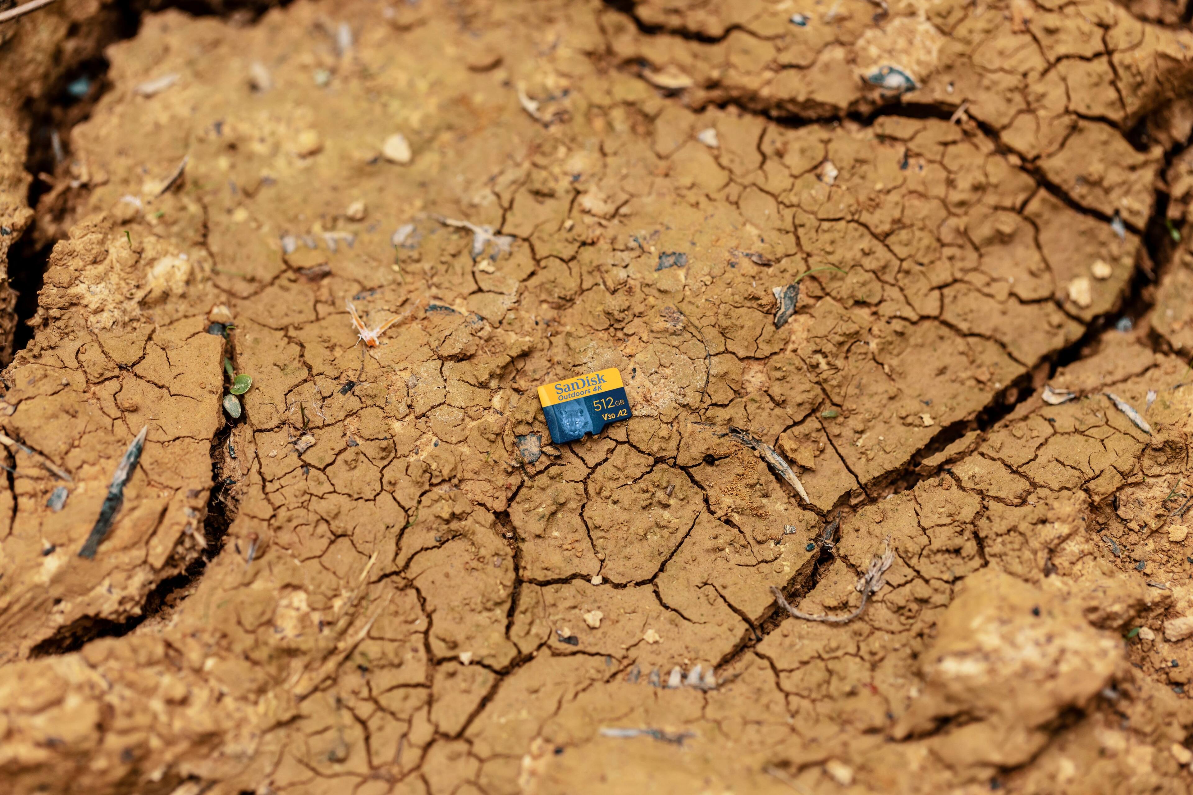 SanDisk - Cartão de memória microSDXC UHS-I 4K 128 GB para ambientes externos com adaptador SD-SDSQXAA-128G-GN6VA