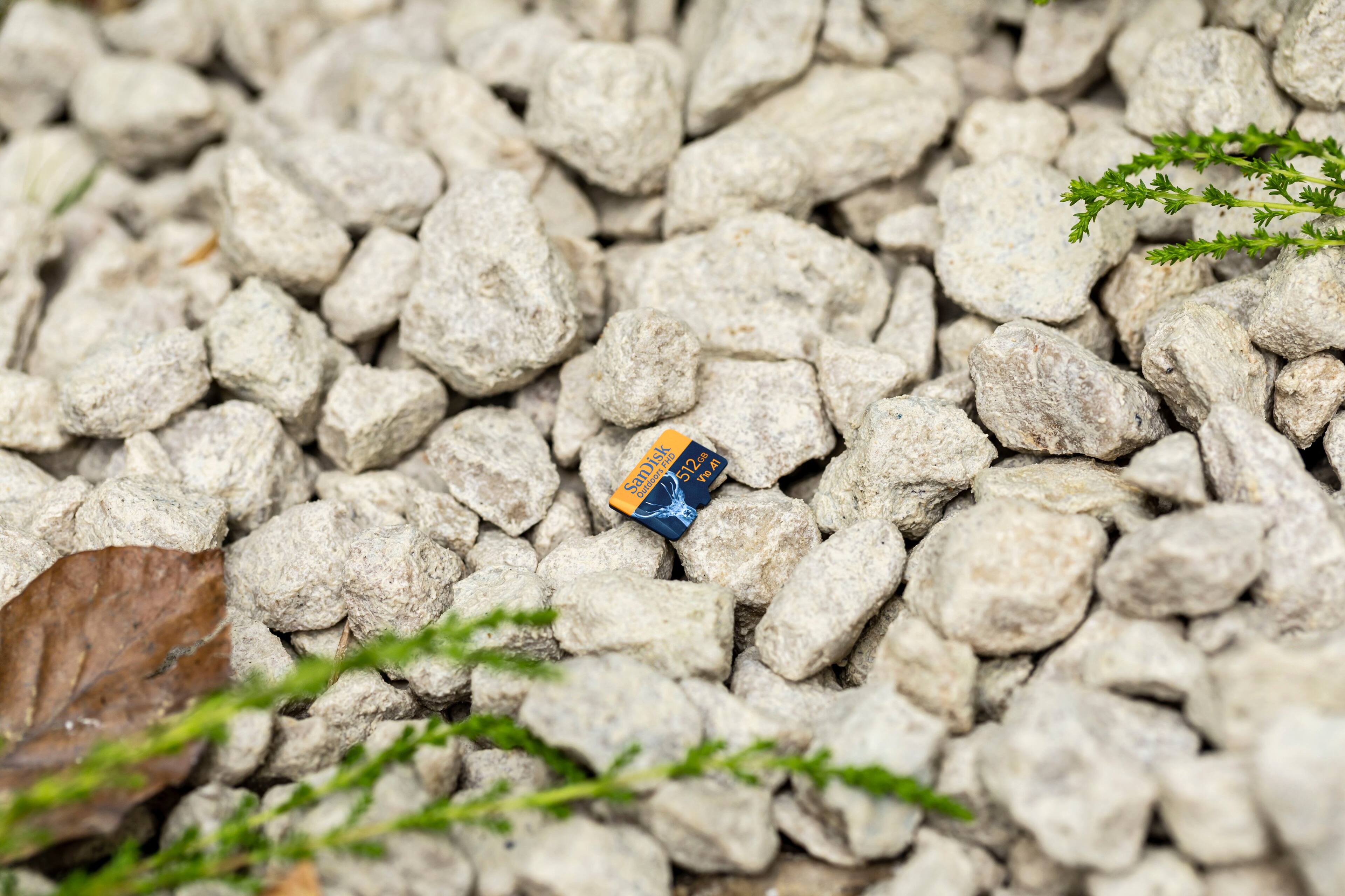 SanDisk - Cartão de memória microSDHC UHS-I FHD 32 GB para ambientes externos com adaptador SD-SDSQUNR-032G-GN6VA