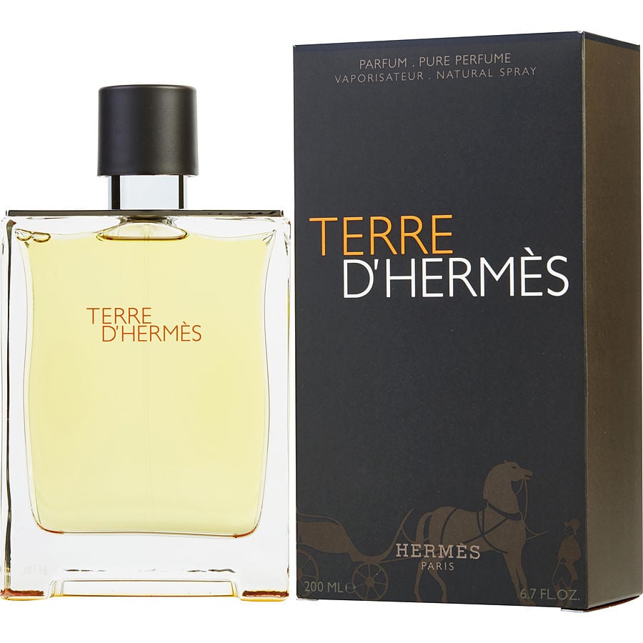 Perfume Masculino Terre D'Hermes Hermes Parfum Spray 200 Ml