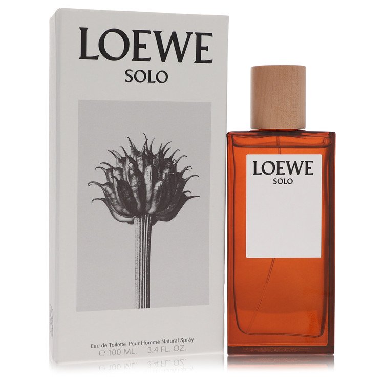 Perfume Masculino Solo Loewe Eau De Toilette 100 Ml