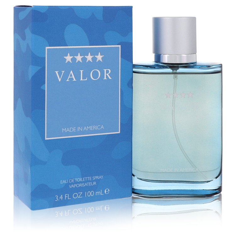 Perfume Masculino Valor Dana 100 ML Eau De Toilette
