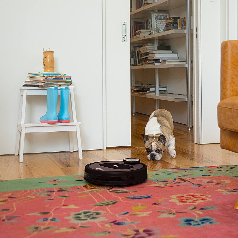 bObsweep - Robô aspirador e esfregão conectado por Wi-Fi PetHair Appetite - Coffee-APP220022