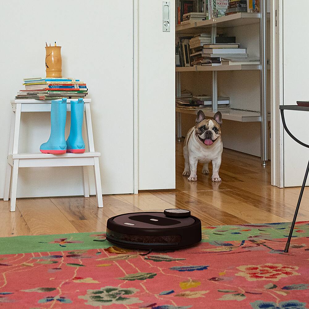bObsweep - Robô aspirador e esfregão conectado por Wi-Fi PetHair Appetite - Coffee-APP220022
