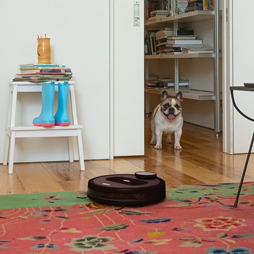 bObsweep - Robô aspirador e esfregão conectado por Wi-Fi PetHair Appetite - Coffee-APP220022
