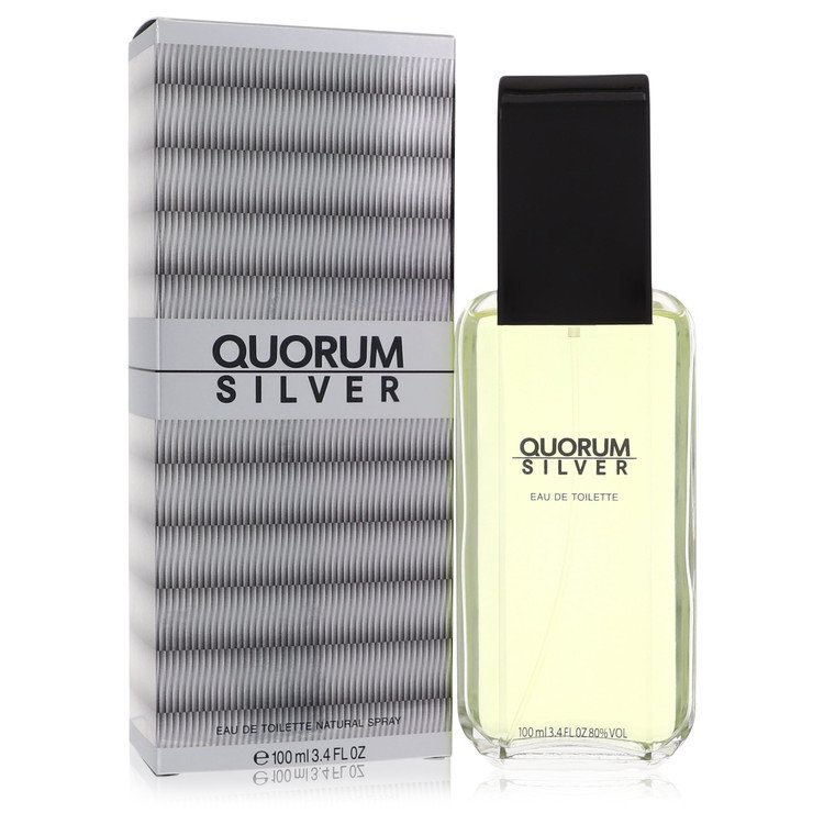 Perfume Masculino Quorum Silver Puig 100 ML Eau De Toilette